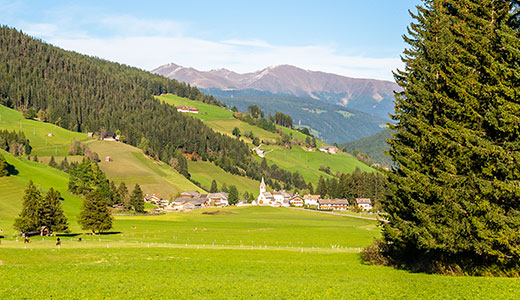 Pragser Tal im Grünen